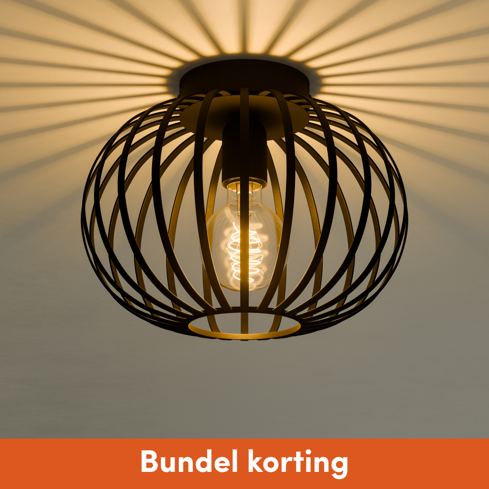 Plafondlamp Arcadia - 25cm - Zwart