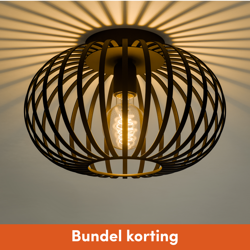 Plafondlamp Arcadia - 30cm - Zwart