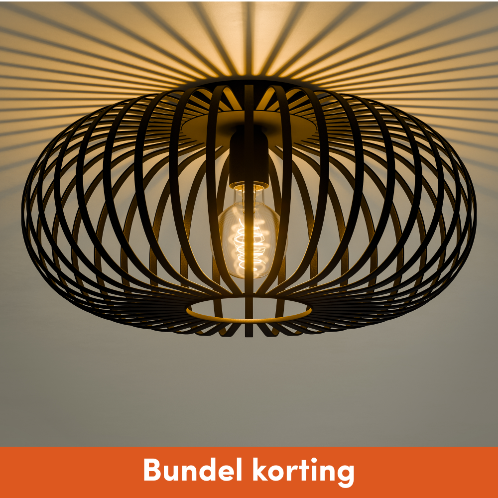 Plafondlamp Arcadia - 40cm - Zwart